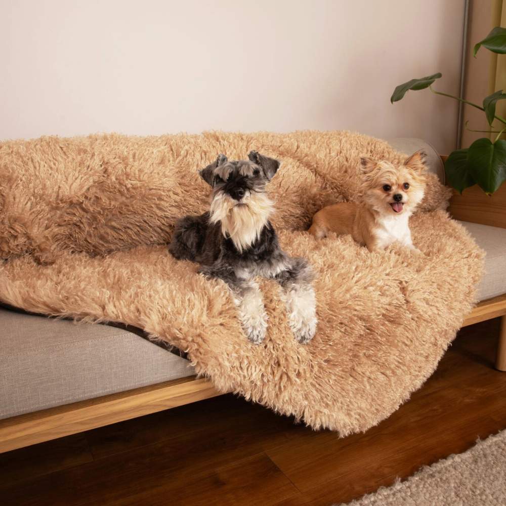 Two dogs are lounging on a couch covered with the Paw PupProtector™ Waterproof Throw Blanket - Plush Sheep