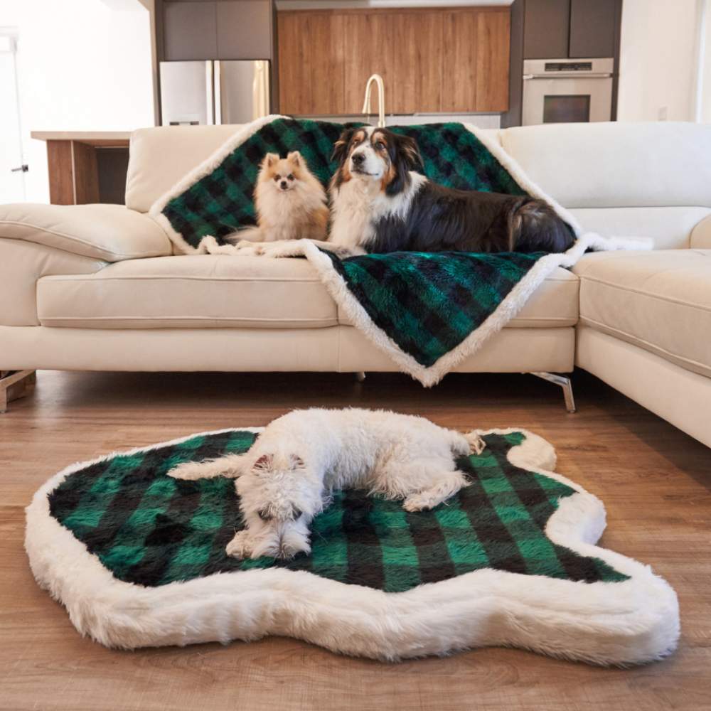 Two dogs are relaxing on a couch covered with the Paw PupProtector™ Waterproof Throw Blanket - Green Buffalo Plaid, with an additional matching rug on the floor