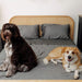 Two dogs comfortably resting on a bed with gray sheets, illustrating the Paw PupSheets™ Hair Resistant, Antimicrobial, & Cooling Bed Sheet Set - Graphite