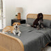 Two dogs relax on a bed covered with the Paw PupSheets™ Hair Resistant, Antimicrobial, & Cooling Duvet Cover and Sham Set - Graphite