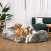 Two happy dogs rest on a Charcoal Grey Paw PupCloud™ Human-Size Faux Fur Memory Foam Dog Bed in a cozy living room setting