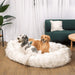 Two happy dogs sit comfortably on a White with Brown Accents Paw PupCloud™ Human-Size Faux Fur Memory Foam Dog Bed in a cozy living room