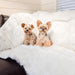 Two small dogs are sitting on a sofa covered with the Paw PupProtector™ Waterproof Throw Blanket - Polar White