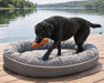 Wet black dog stands on a gray Bowsers Ovie Dog Bed near a lake while holding an orange toy in its mouth