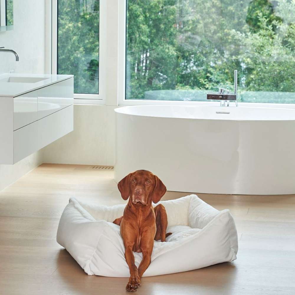 Winter White Bowsers One Of A Kind Scoop Dog Bed shows a brown dog sitting upright in a white cushioned bed inside a modern bathroom setting