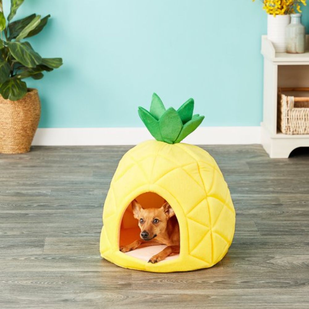 YML Pineapple Dog Bed