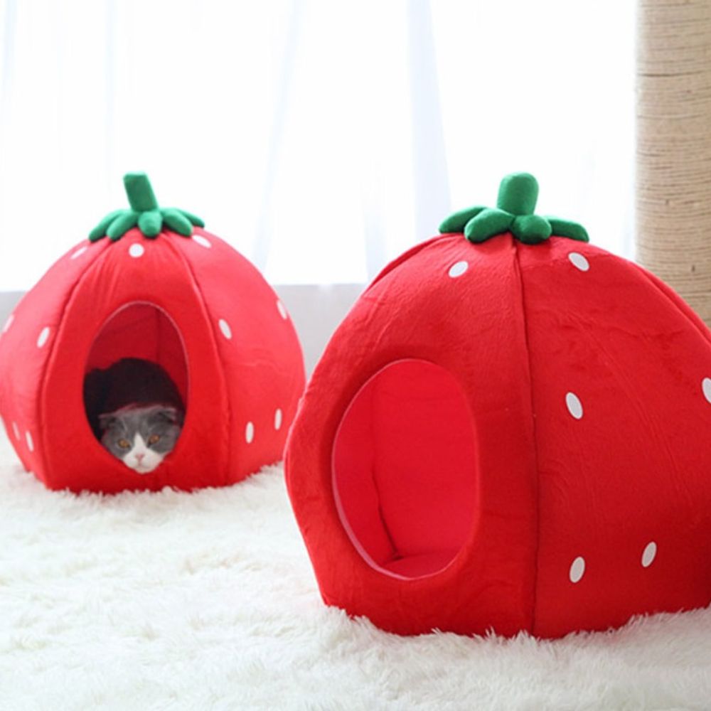 YML Strawberry Pet Bed Best Dog Beds
