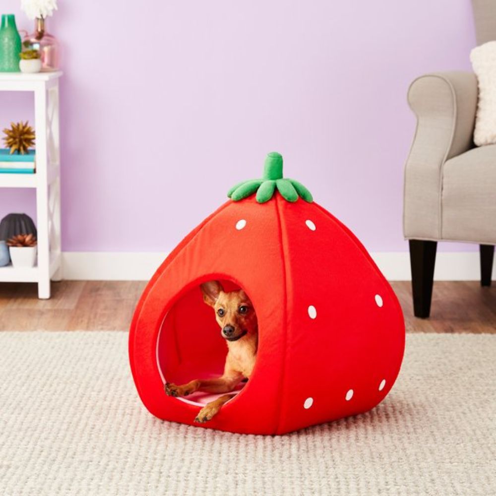 YML Strawberry Pet Bed Good Dog Beds
