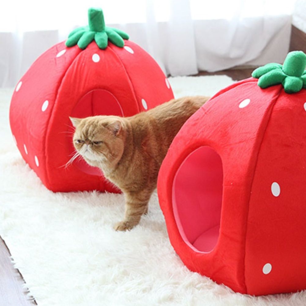 YML Strawberry Pet Bed Luxury Pet Beds