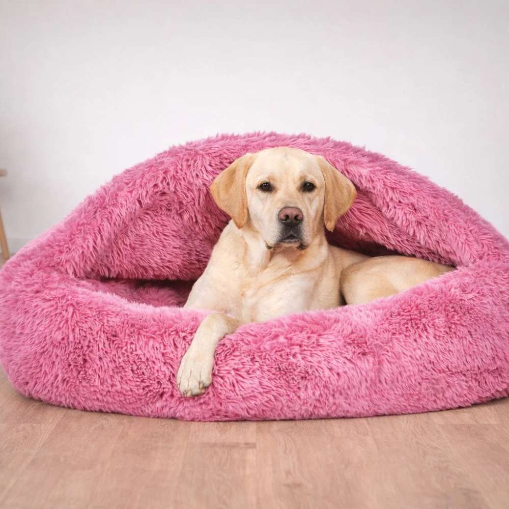 Yellow Labrador rests inside a bright pink, shaggy hooded bed with one paw over the front edge of Bowsers Canopy Cozy Dog Bed