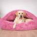Yellow Labrador rests inside a bright pink, shaggy hooded bed with one paw over the front edge of Bowsers Canopy Cozy Dog Bed