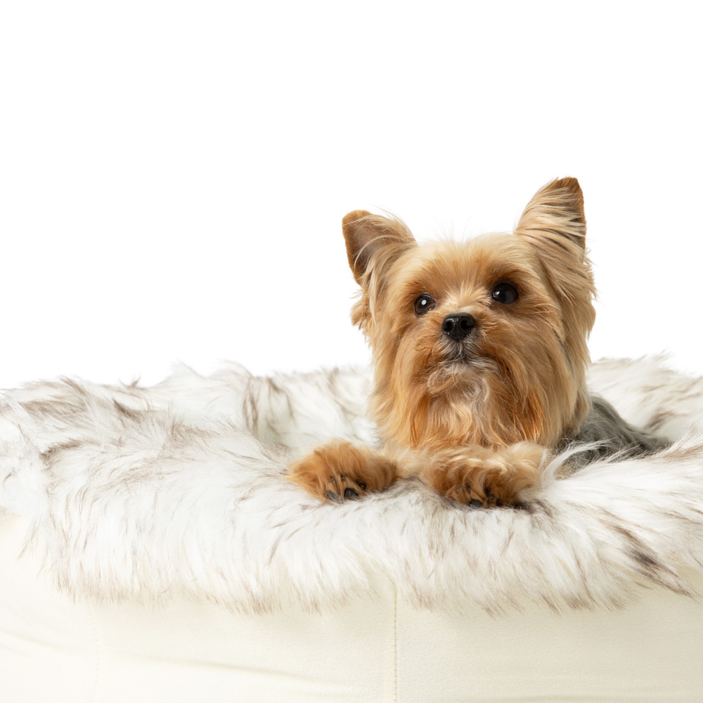 PupPouf donut bed detail