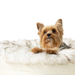 PupPouf donut bed detail