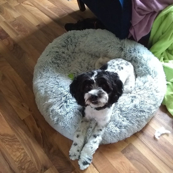 Mr. Peanut's 28" OrthoPlush® Pet Bed - Snowflake White Two Tone