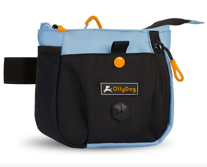 Olly Dog Backcountry Day Bag