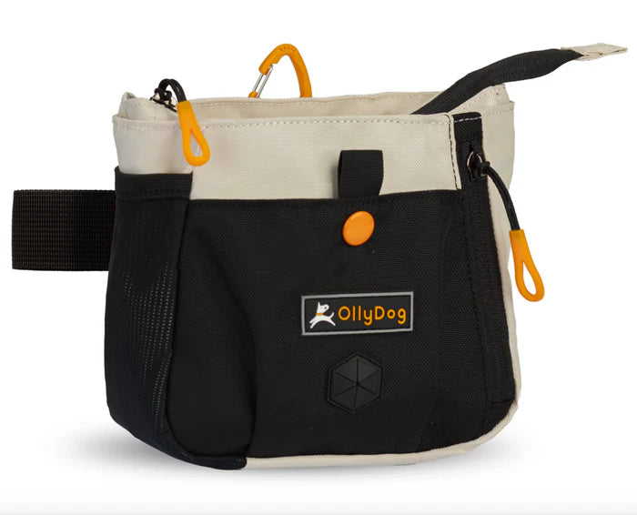 Olly Dog Backcountry Day Bag