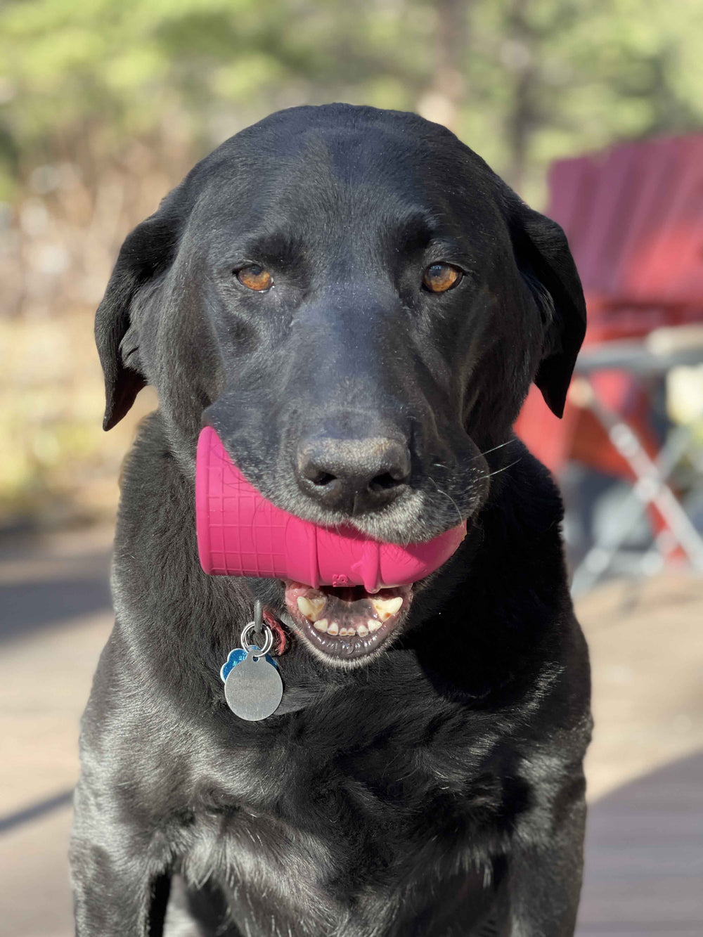 Ice Cream Cone Durable Rubber Chew Toy and Treat Dispenser