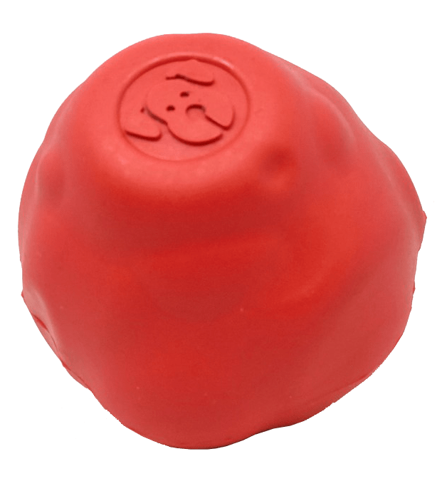 Asteroid Ultra Durable Rubber Chew Toy