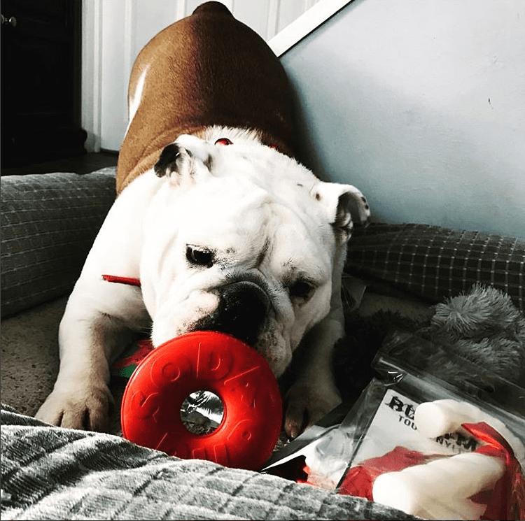 Life Ring Durable Rubber Chew Toy & Treat Dispenser