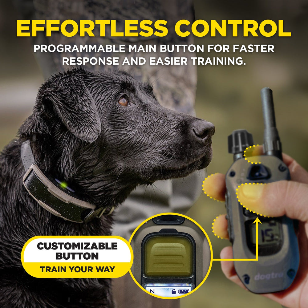 Dogtra 1900X receivers