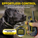 Dogtra 1900X receivers