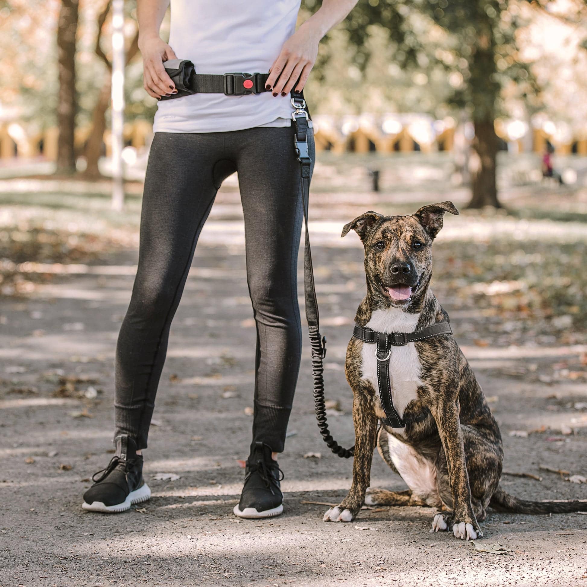 Dog leash that attaches to clearance waist