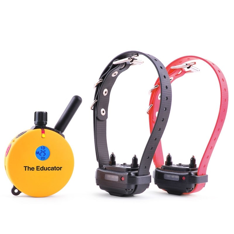 E-Collar ET-402 Two Dog Educator with 34 Mile Remote Dog Trainer Yellow