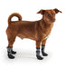 GF PET All Terrain Boots Protected Paws