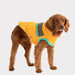 GF  PET  Alpine  Puffer  Winter  Dog  Jacket Yellow Quality Multi Knit
