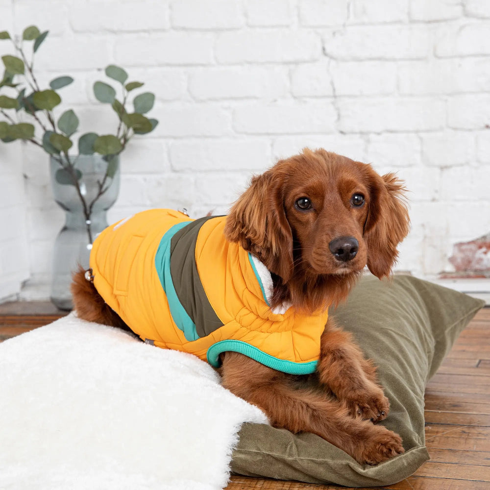 GF  PET  Alpine  Puffer  Winter  Dog  Jacket Yellow Retro Chevron Design