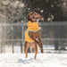GF  PET  Alpine  Puffer  Winter  Dog  Jacket Yellow Unisex Fit