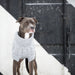 GF PET Chalet Dog Sweater Grey Superior Fit