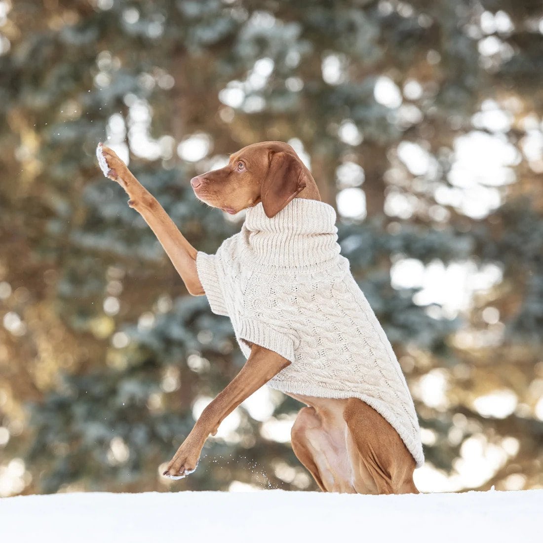 GF PET Chalet Dog Sweater Grey Quality Knit