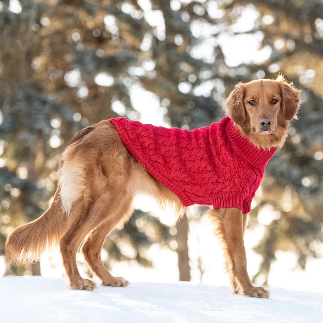 GF PET Chalet Dog Sweater Red Turtle Neck