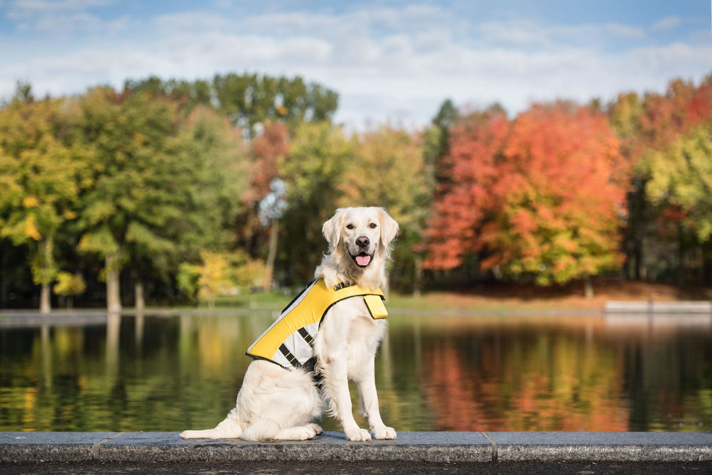 GF PET Dog Floatation Vest Life Jacket Highly Visible