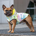 GF PET Dog Reversible Rain Coat Neon Yellow Elasto Fit