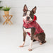 GF PET Dog Reversible Rain Coat Red  Adjustable Rain Hood