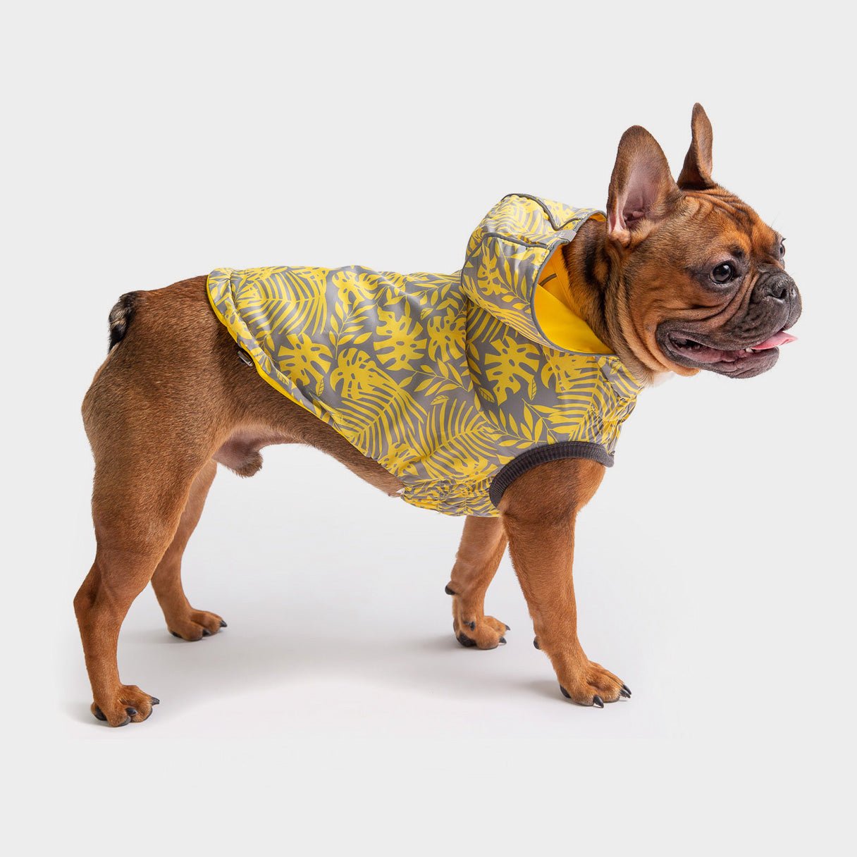 GF PET Dog Reversible Rain Coat Yellow  Adjustable Rain Hood