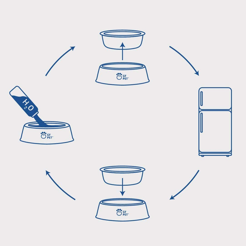GF PET ICE COOL™ Dog Cooling-Bowl Instructions