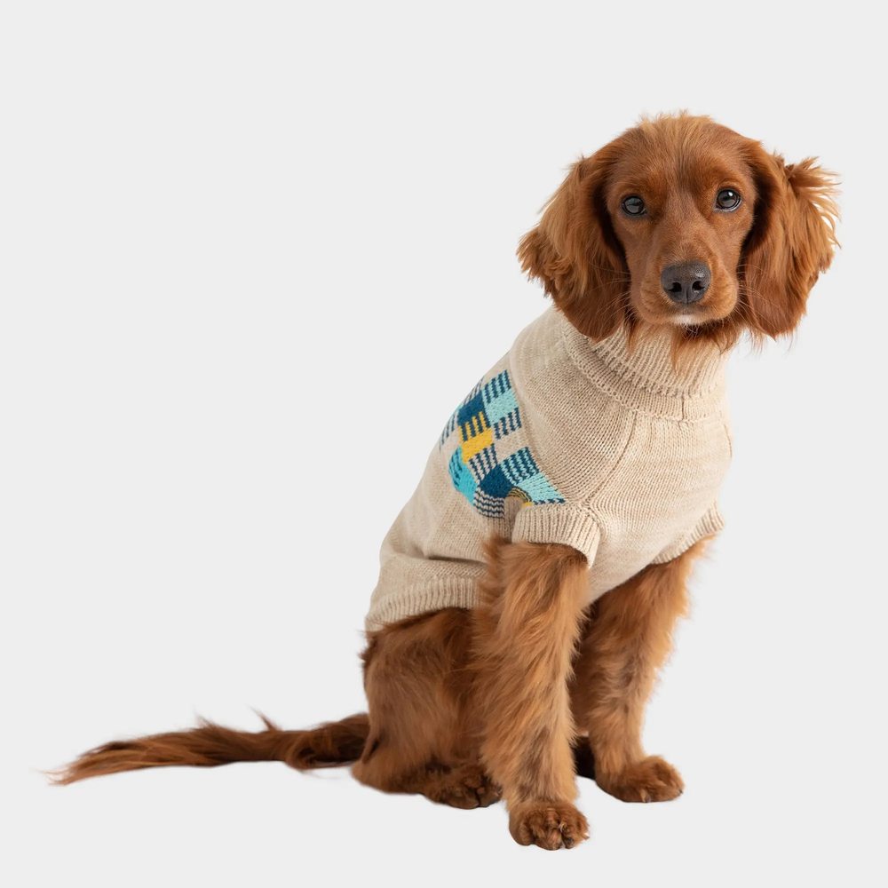 GF PET Winter Sailor Dog Sweater