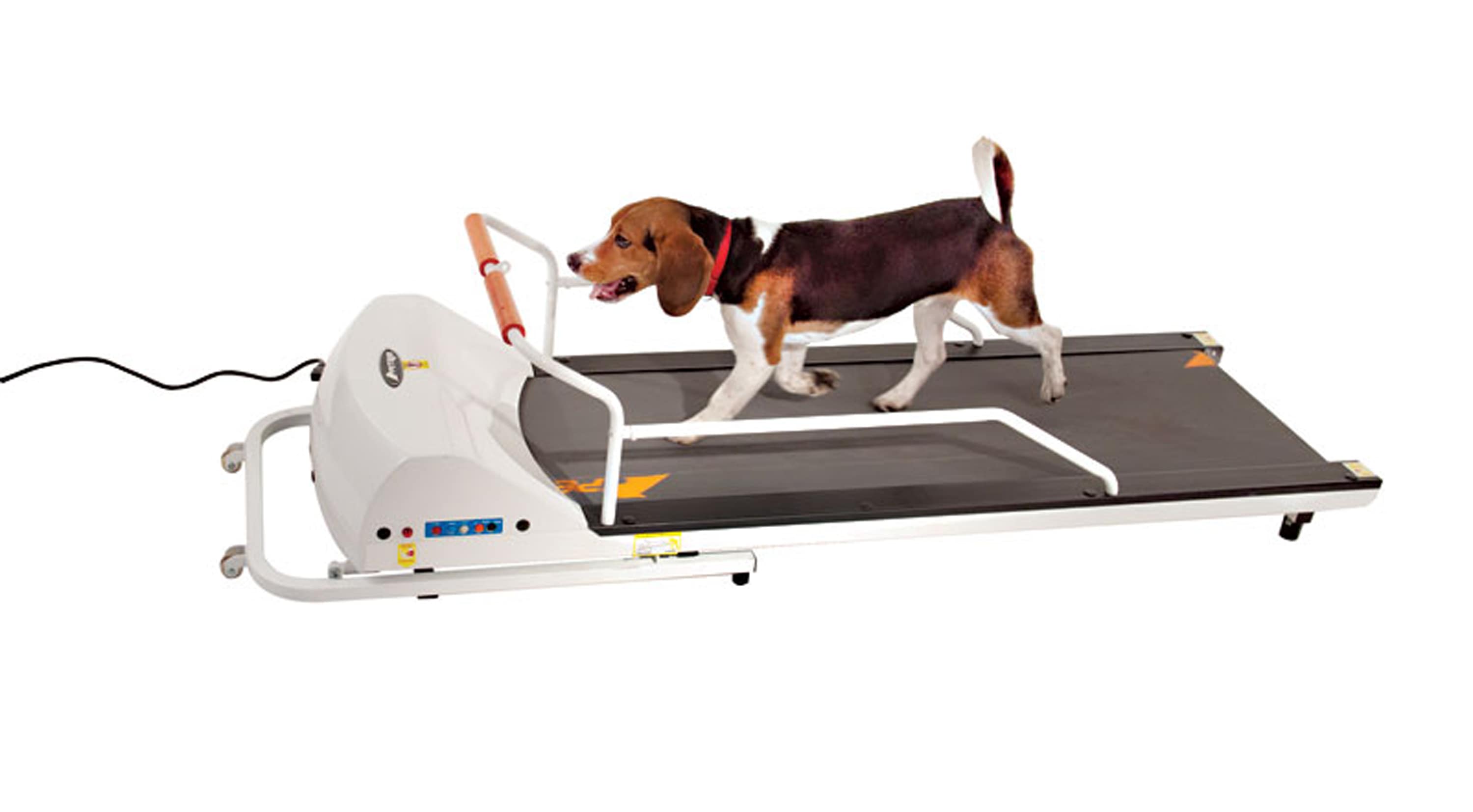 Doggie treadmill 2024 for small dogs