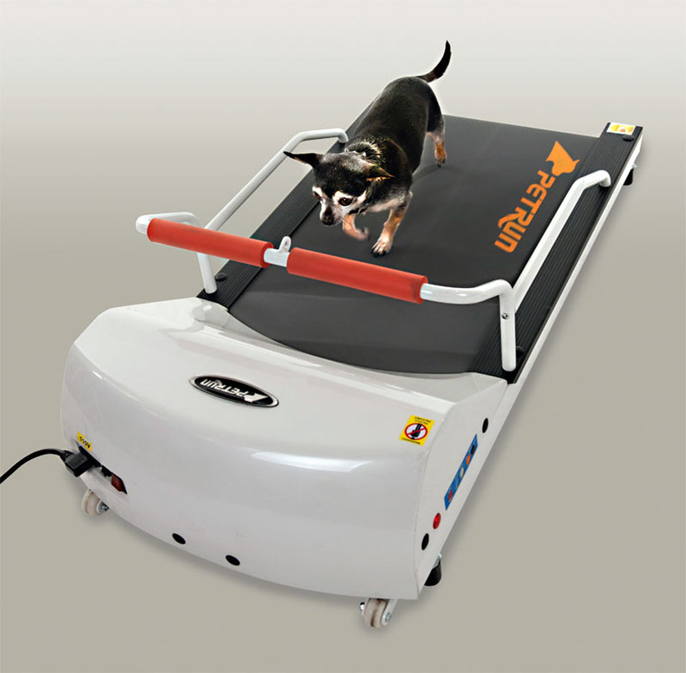 GoPet USA Dog TreadMill Size Toy Breed