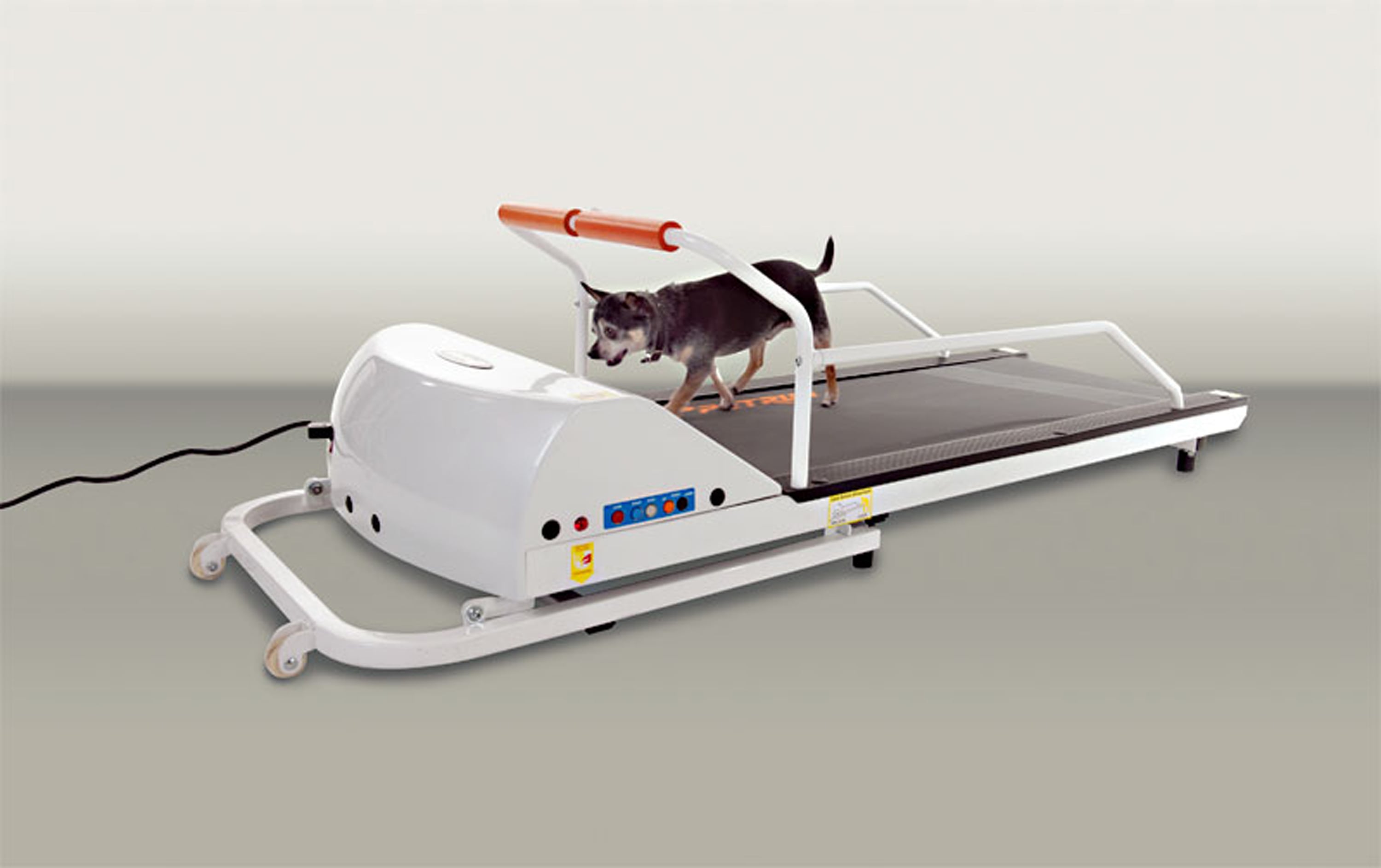 PetRun PR700 Dog Exercise Treadmill Small Dogs GoPet for sale