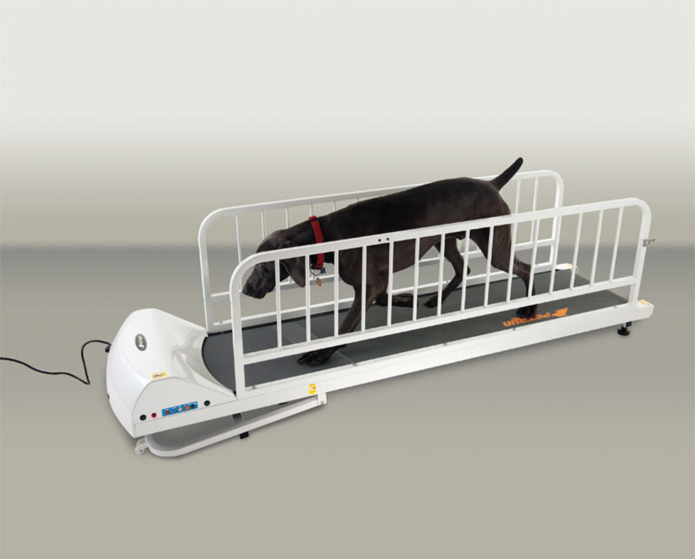 GoPet USA Dog TreadMill Size Large Breed