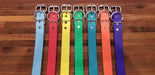 Handlers Choice Roller Buckle Flat Dog Collar All Colors