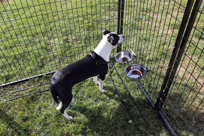 K9 Kennel Store Complete Galvanized Heptagon Kennel PRO With Cozy Nook Snap N Lock Food Bowl