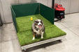 K9 Kennel Store Quick N Clean Potty Station 4 x 6