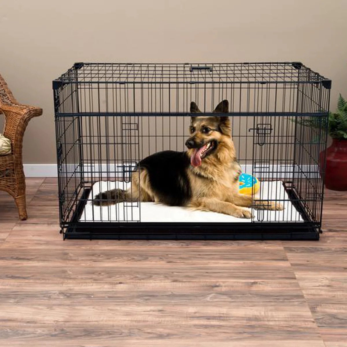Lucky Dog® Dwell Series™  Rust Resistant Dog Crate with Sliding Side Door Convenient Handle