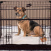 Lucky Dog® Dwell Series™  Rust Resistant Dog Crate with Sliding Side Door Divider Panel
