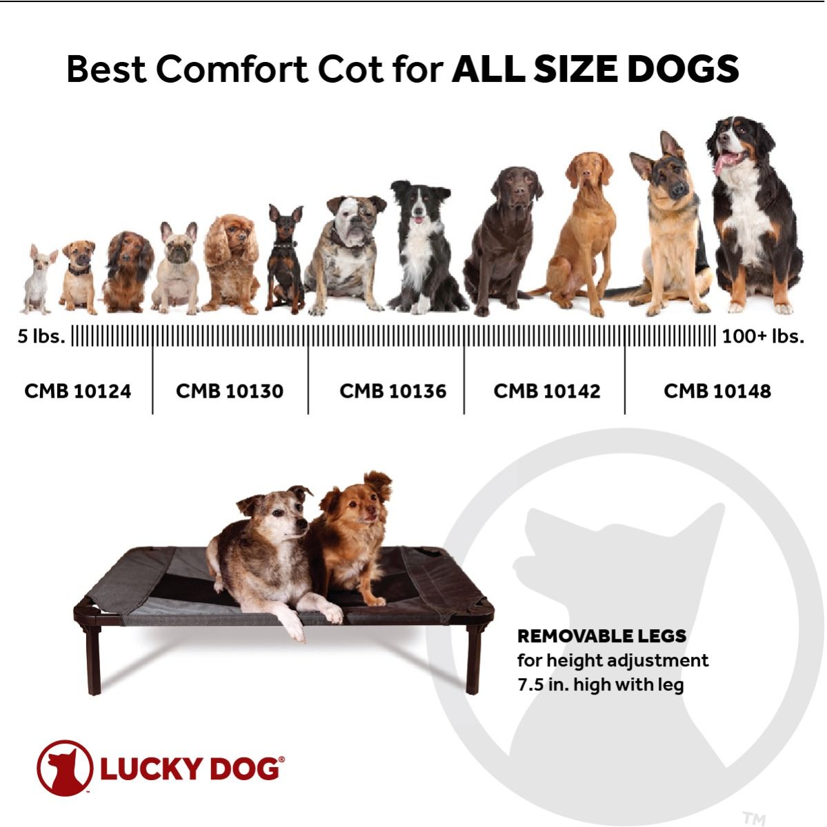 Lucky Dog® Waterproof and Breathable Elevated Bed Size